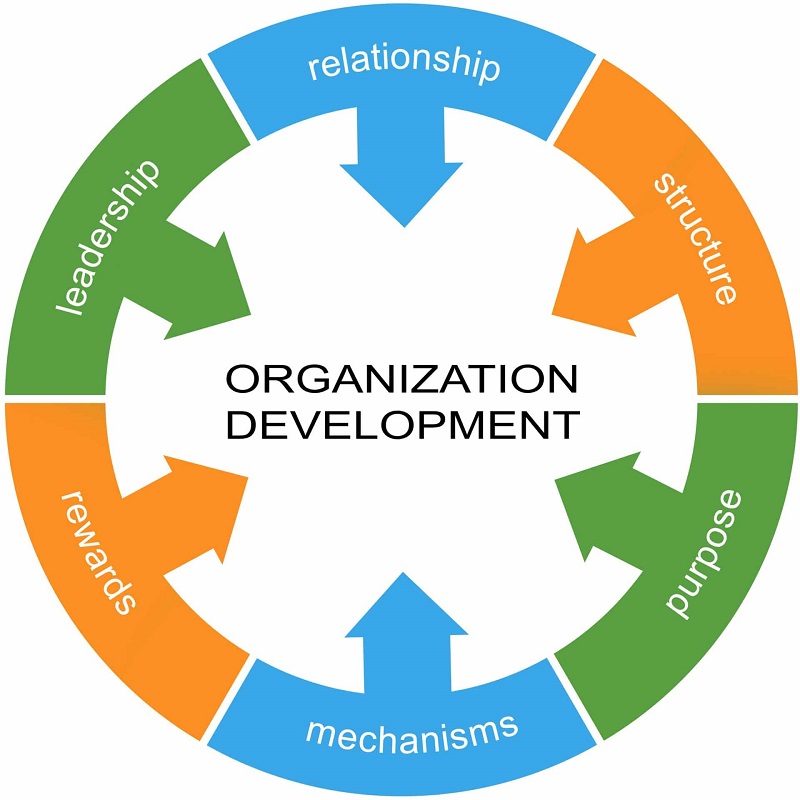 organizational development phd online