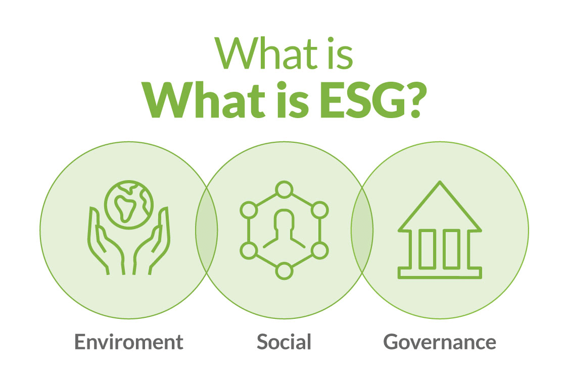 Sustainability in the Private Sector: Defining Your ESG Strategy ...